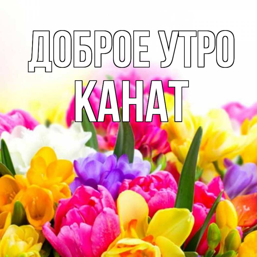 Открытка на каждый день с именем, Канат Доброе утро создать открытку со свое подписью Прикольная открытка с пожеланием онлайн скачать бесплатно 