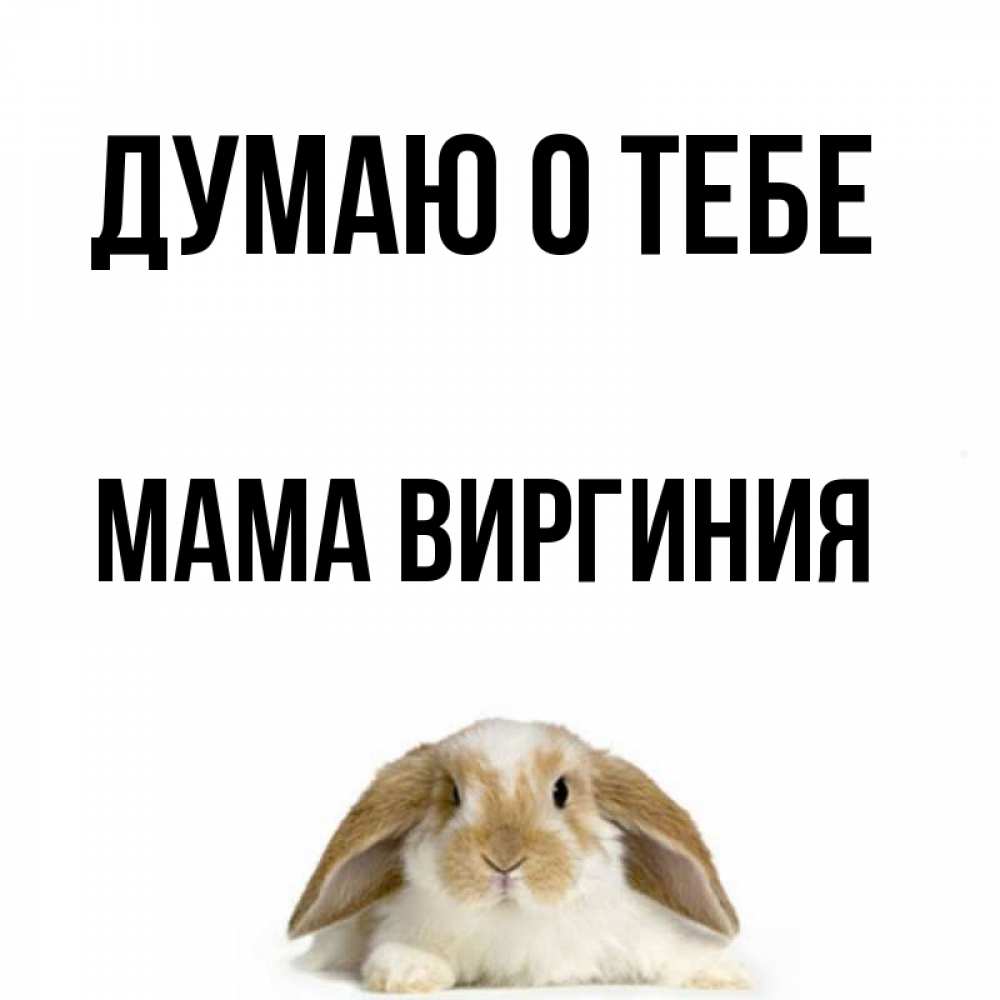 Открытка на каждый день с именем, Мама-Виргиния Думаю о тебе подписать своими руками онлайн Прикольная открытка с пожеланием онлайн скачать бесплатно 