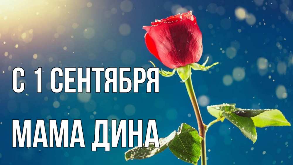Открытка на каждый день с именем, Мама-Дина С 1 сентября с днем знаний Прикольная открытка с пожеланием онлайн скачать бесплатно 