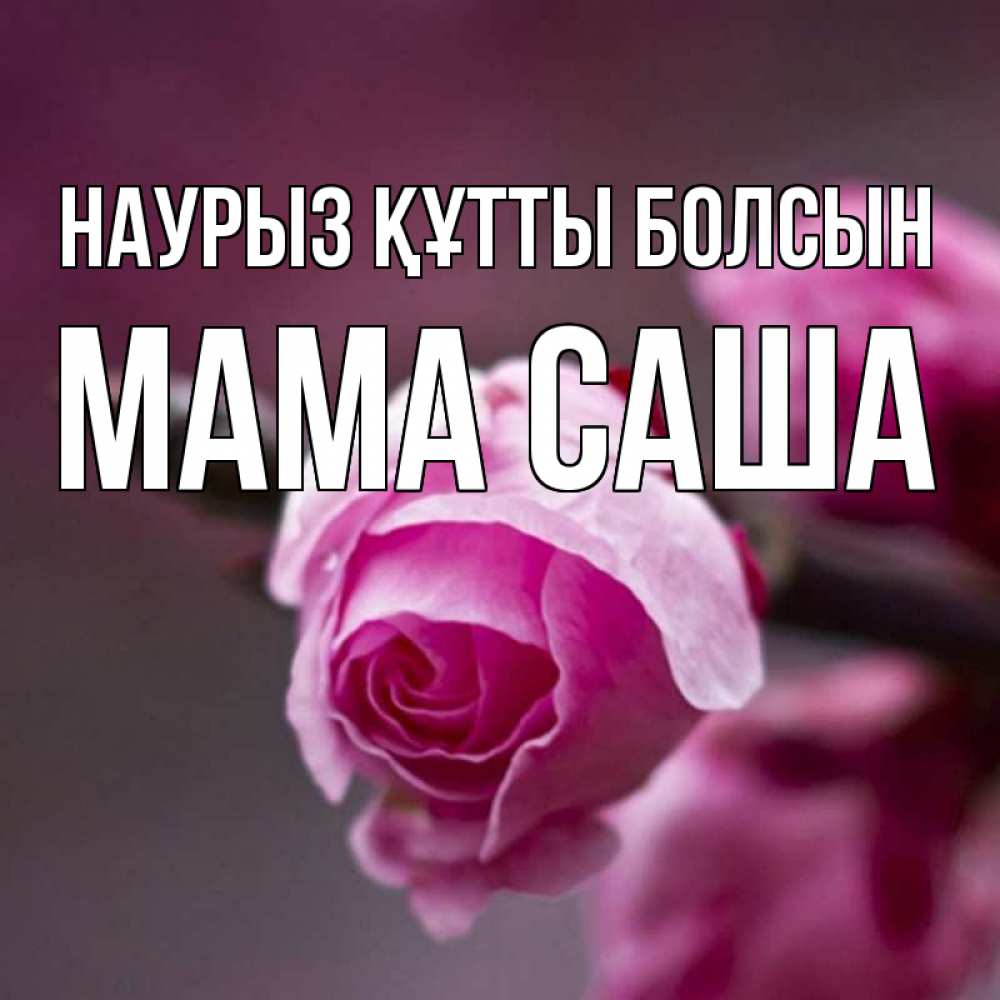 Открытка на каждый день с именем, Мама-Саша Наурыз құтты болсын весна Прикольная открытка с пожеланием онлайн скачать бесплатно 