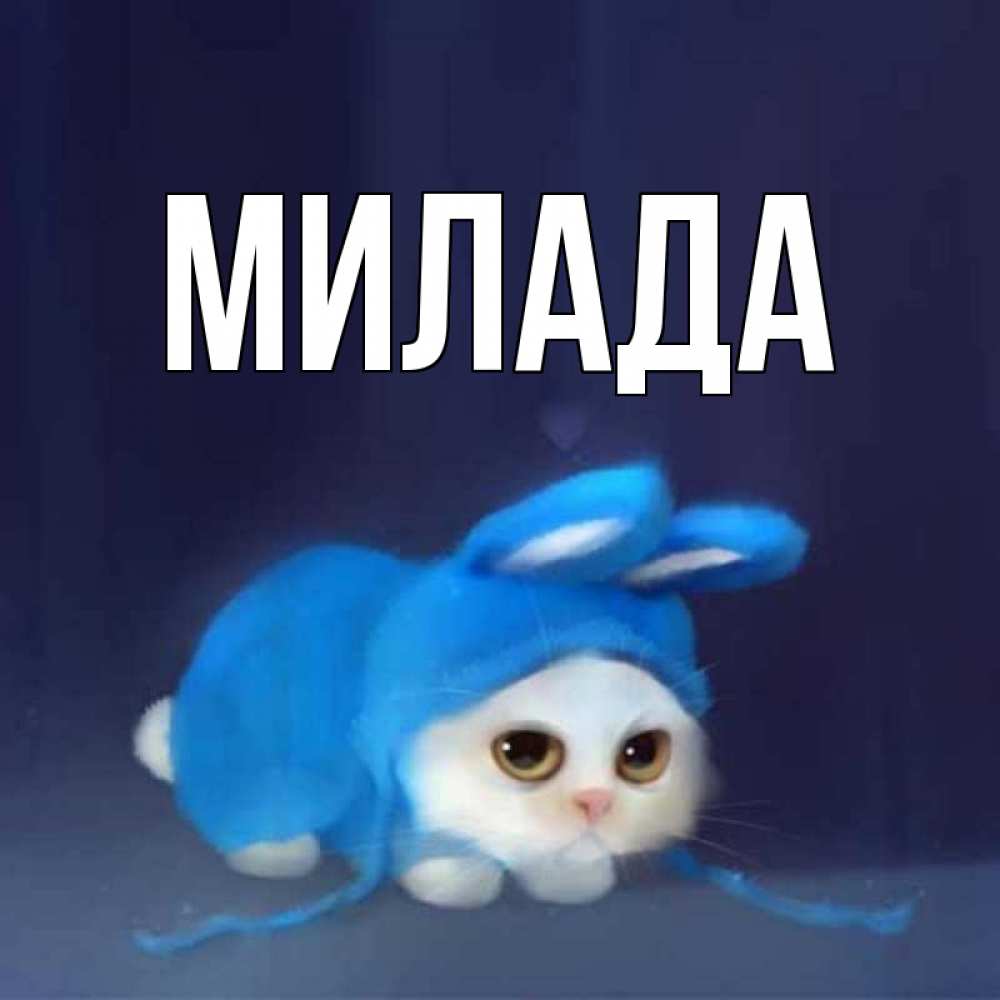 Открытка на каждый день с именем, Милада Главная кот в голубом костюме кролика с ушками Прикольная открытка с пожеланием онлайн скачать бесплатно 