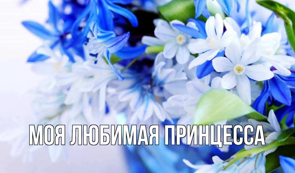 Открытка на каждый день с именем, Моя-Любимая-Принцесса Главная С 1 мая Прикольная открытка с пожеланием онлайн скачать бесплатно 