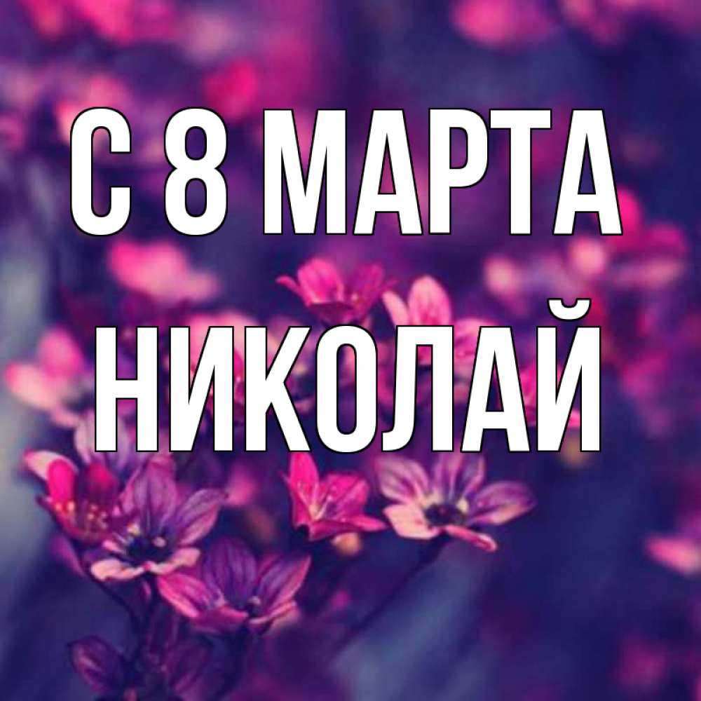 Открытка на каждый день с именем, Николай С 8 МАРТА небольшие цветы 1 Прикольная открытка с пожеланием онлайн скачать бесплатно 