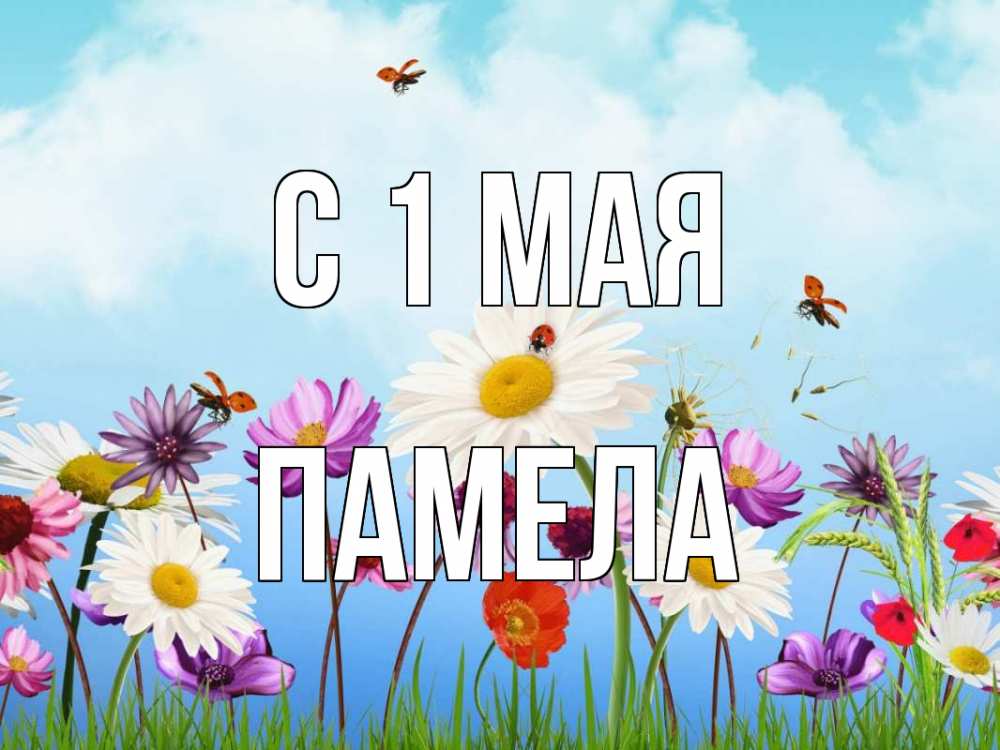 Открытка на каждый день с именем, Памела С 1 мая С 1 мая Прикольная открытка с пожеланием онлайн скачать бесплатно 