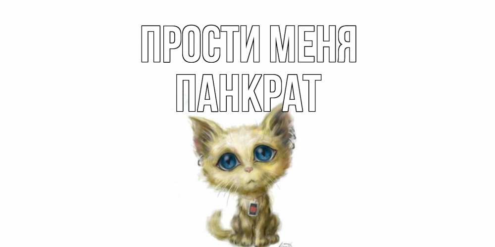 Открытка на каждый день с именем, Панкрат Прости меня прости меня открытка с котиком Прикольная открытка с пожеланием онлайн скачать бесплатно 