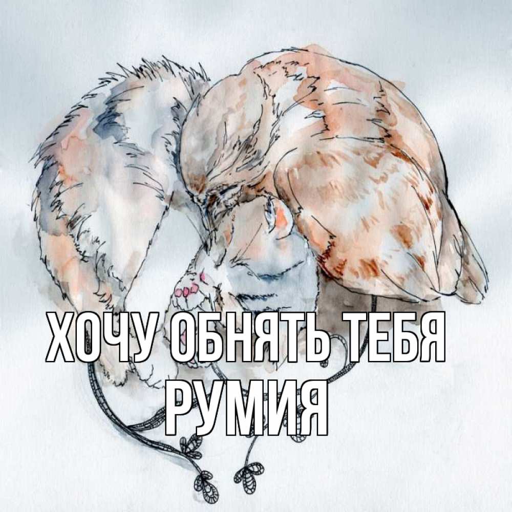 Открытка на каждый день с именем, Румия Хочу обнять тебя можно быть вместе даже когда очень разные Прикольная открытка с пожеланием онлайн скачать бесплатно 