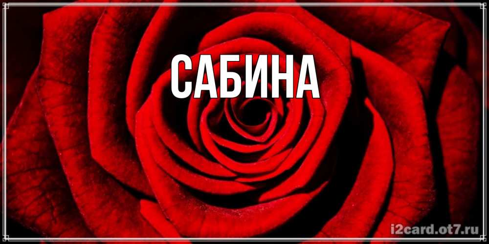 Открытка на каждый день с именем, Сабина Главная алая роза Прикольная открытка с пожеланием онлайн скачать бесплатно 