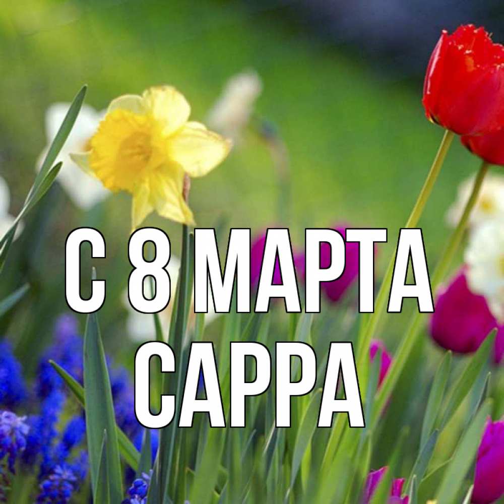 Открытка на каждый день с именем, Сарра С 8 МАРТА международный женский день 3 Прикольная открытка с пожеланием онлайн скачать бесплатно 