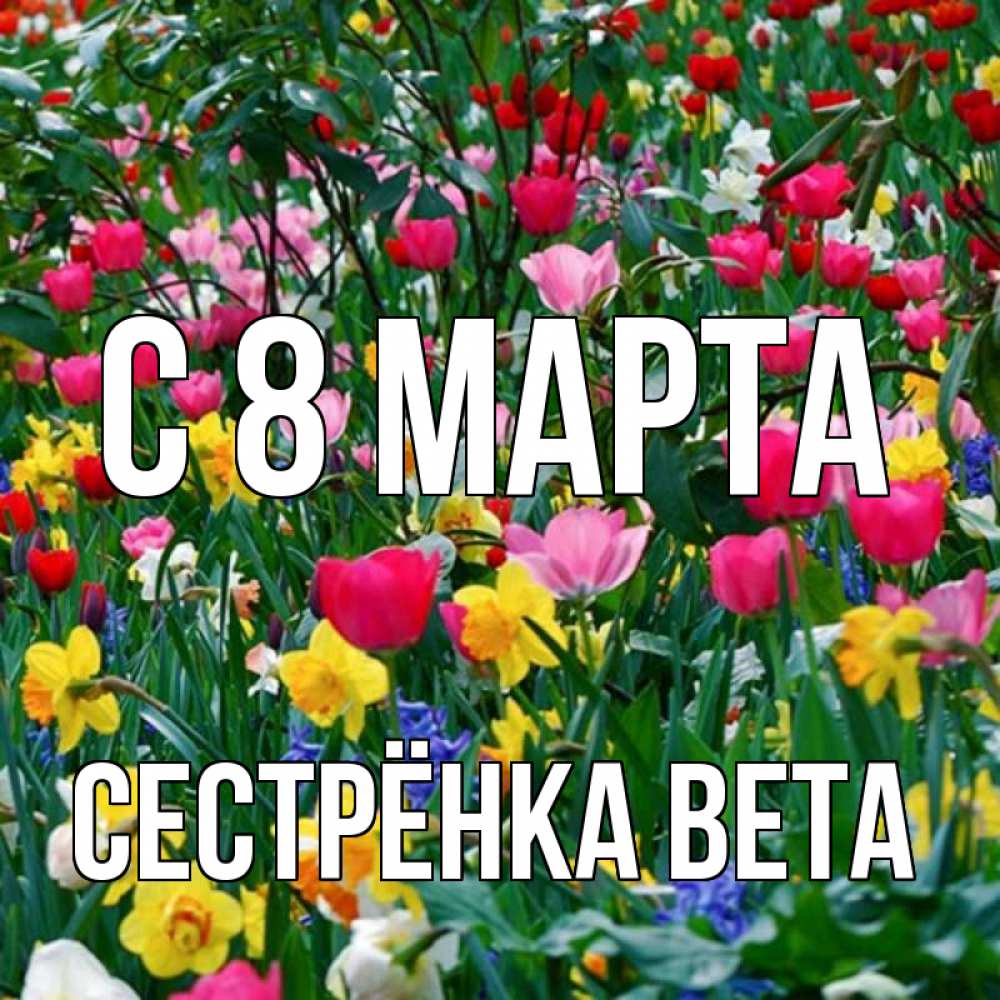 Открытка на каждый день с именем, Сестрёнка-Вета С 8 марта с международным женским днем поздравления для женщины Прикольная открытка с пожеланием онлайн скачать бесплатно 