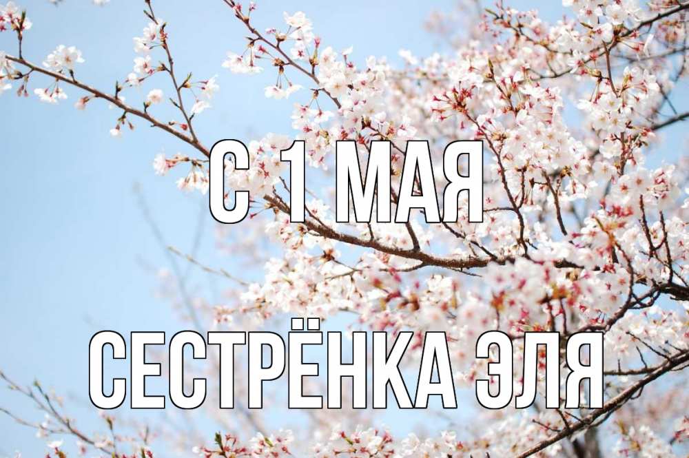 Открытка на каждый день с именем, Сестрёнка-Эля С 1 мая С 1 мая Прикольная открытка с пожеланием онлайн скачать бесплатно 