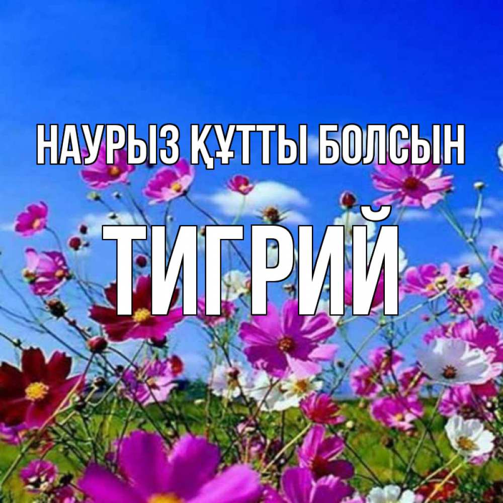 Открытка на каждый день с именем, Тигрий Наурыз құтты болсын цветы Прикольная открытка с пожеланием онлайн скачать бесплатно 