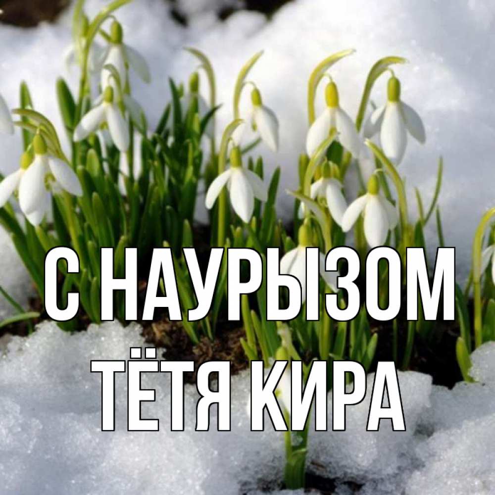 Открытка на каждый день с именем, Тётя-Кира С наурызом цветы весенние Прикольная открытка с пожеланием онлайн скачать бесплатно 