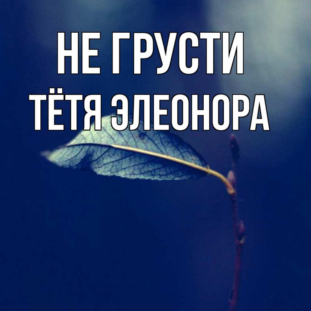 Открытка на каждый день с именем, Тётя-Элеонора Не грусти растение Прикольная открытка с пожеланием онлайн скачать бесплатно 