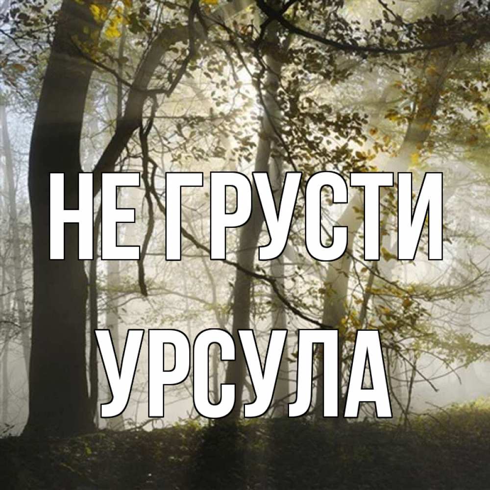 Открытка на каждый день с именем, Урсула Не грусти лес и свет Прикольная открытка с пожеланием онлайн скачать бесплатно 