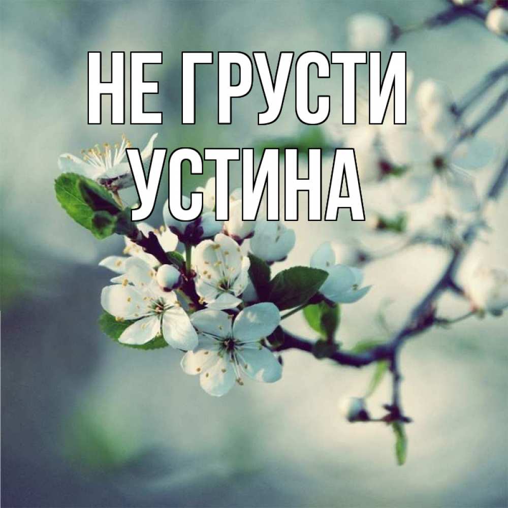 Открытка на каждый день с именем, Устина Не грусти яблоня в цвету 1 Прикольная открытка с пожеланием онлайн скачать бесплатно 