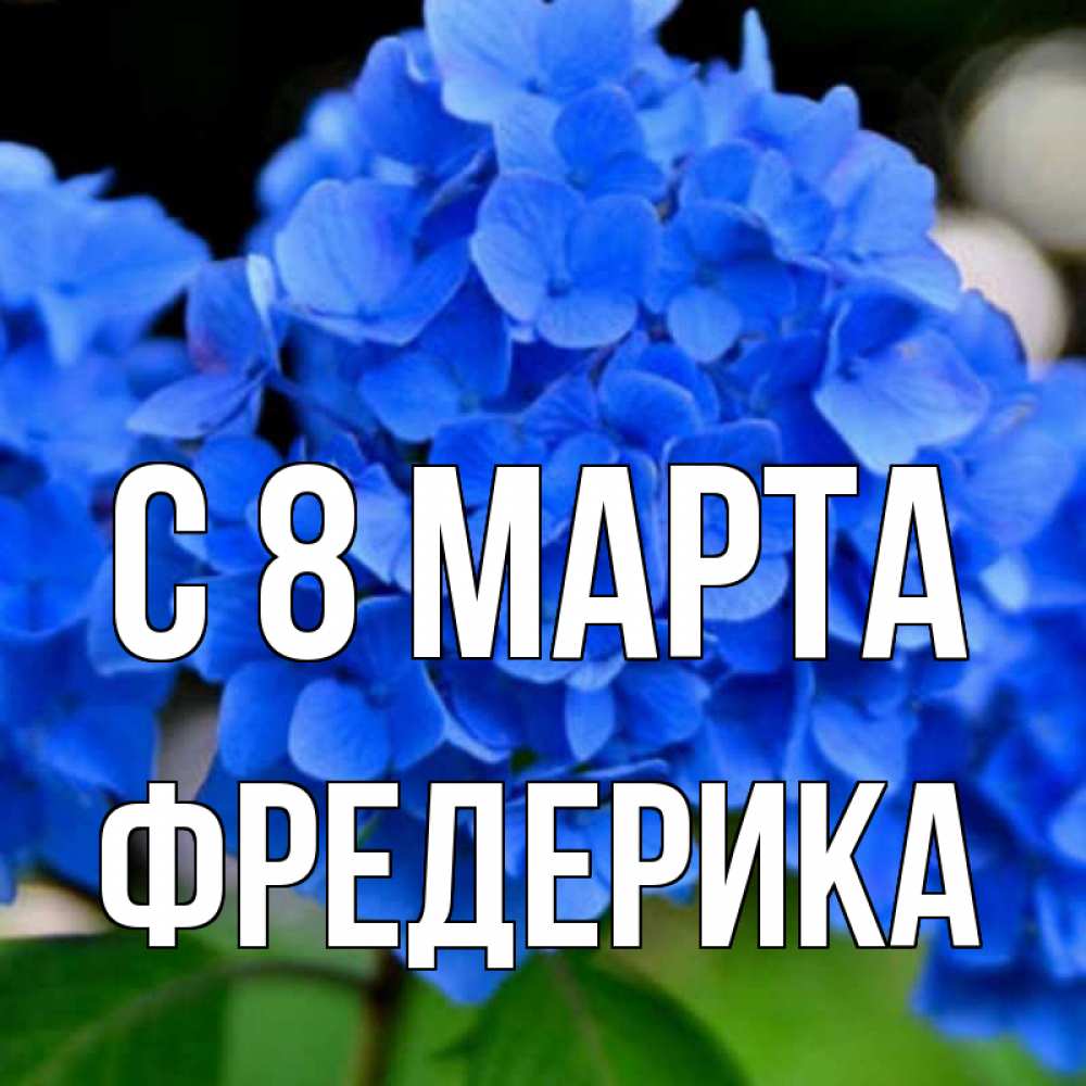 Открытка на каждый день с именем, Фредерика С 8 МАРТА синие цветы Прикольная открытка с пожеланием онлайн скачать бесплатно 