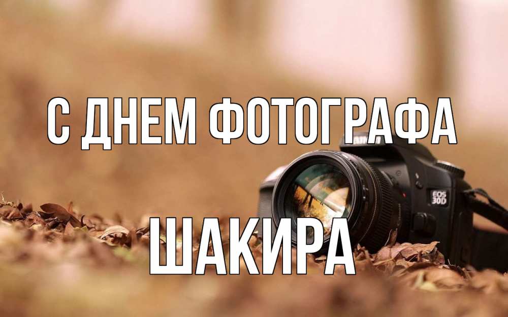 Открытка на каждый день с именем, Шакира С днем фотографа с днем фотографа Прикольная открытка с пожеланием онлайн скачать бесплатно 