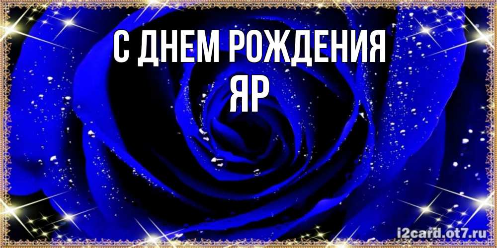 Открытка на каждый день с именем, Яр С днем рождения голубые цветы в росе Прикольная открытка с пожеланием онлайн скачать бесплатно 
