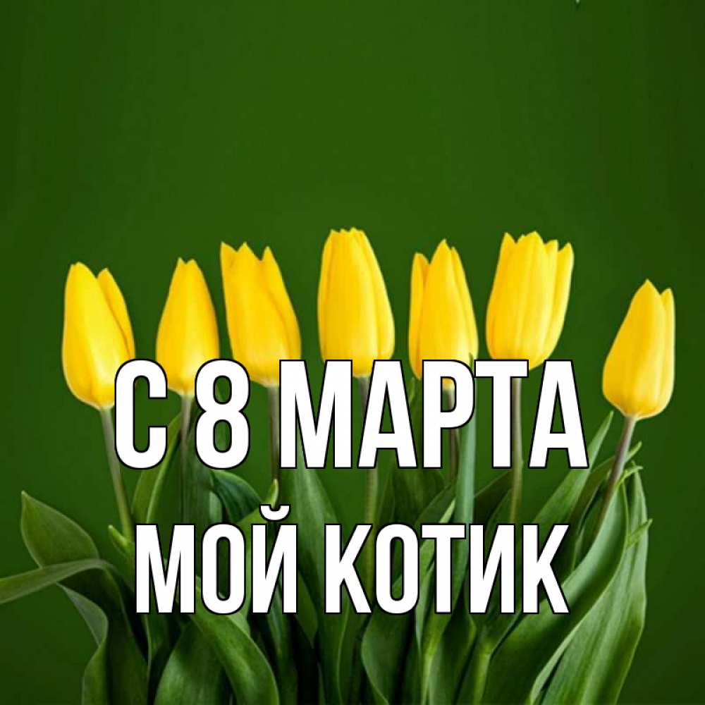 Открытка на каждый день с именем, мой-Котик С 8 МАРТА желтого цвета 3 Прикольная открытка с пожеланием онлайн скачать бесплатно 