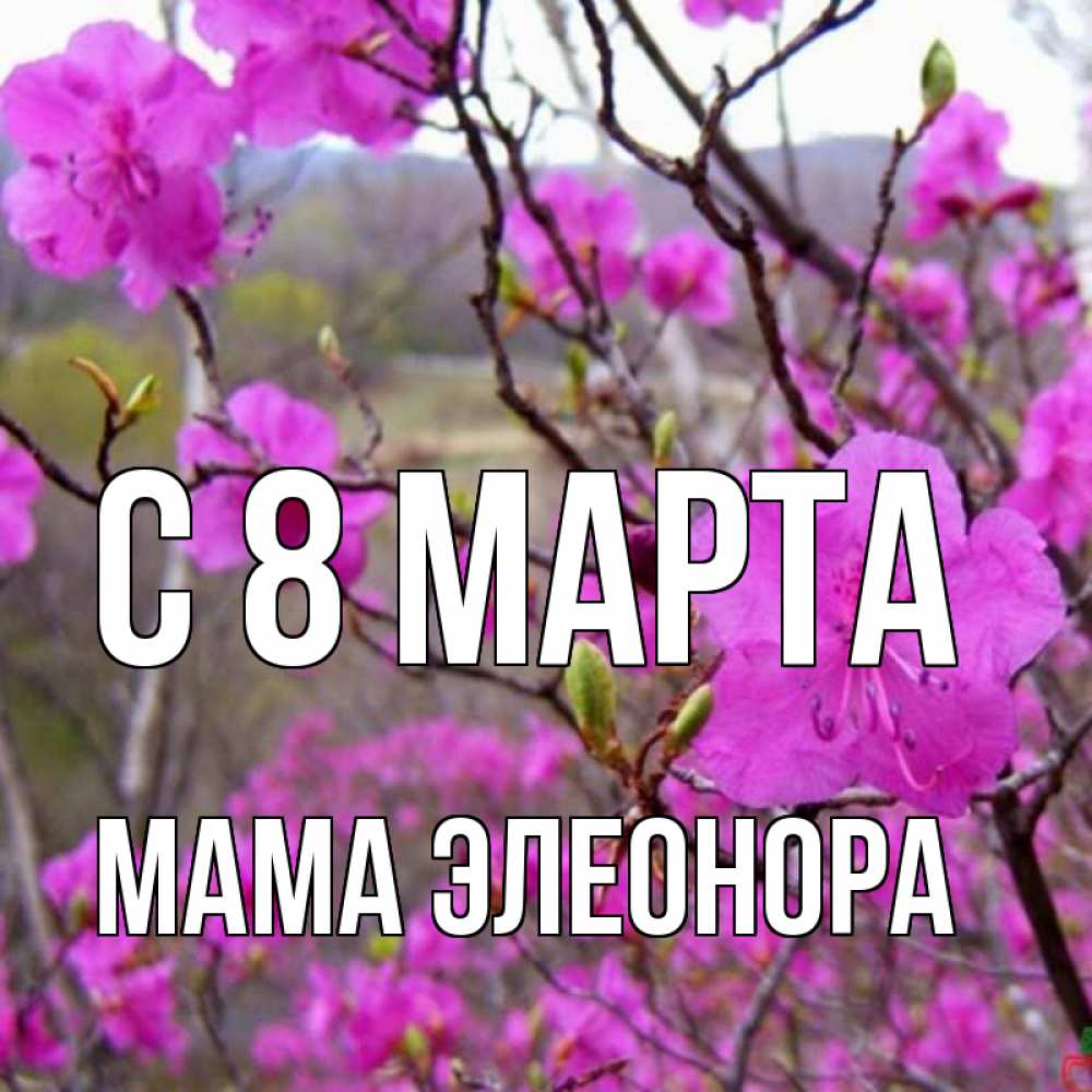 Открытка на каждый день с именем, Мама-Элеонора С 8 марта международный женский день Прикольная открытка с пожеланием онлайн скачать бесплатно 