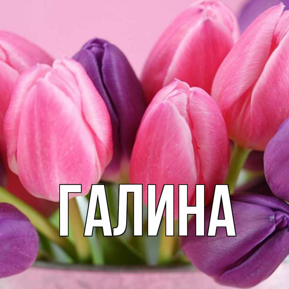 Открытка на каждый день с именем, Галина Главная маме 1 Прикольная открытка с пожеланием онлайн скачать бесплатно 