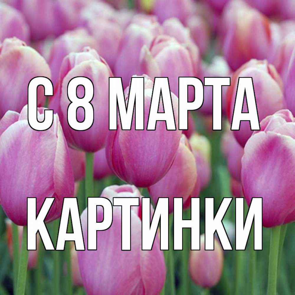Открытка на каждый день с именем, Картинки С 8 МАРТА на международный женский день 3 Прикольная открытка с пожеланием онлайн скачать бесплатно 