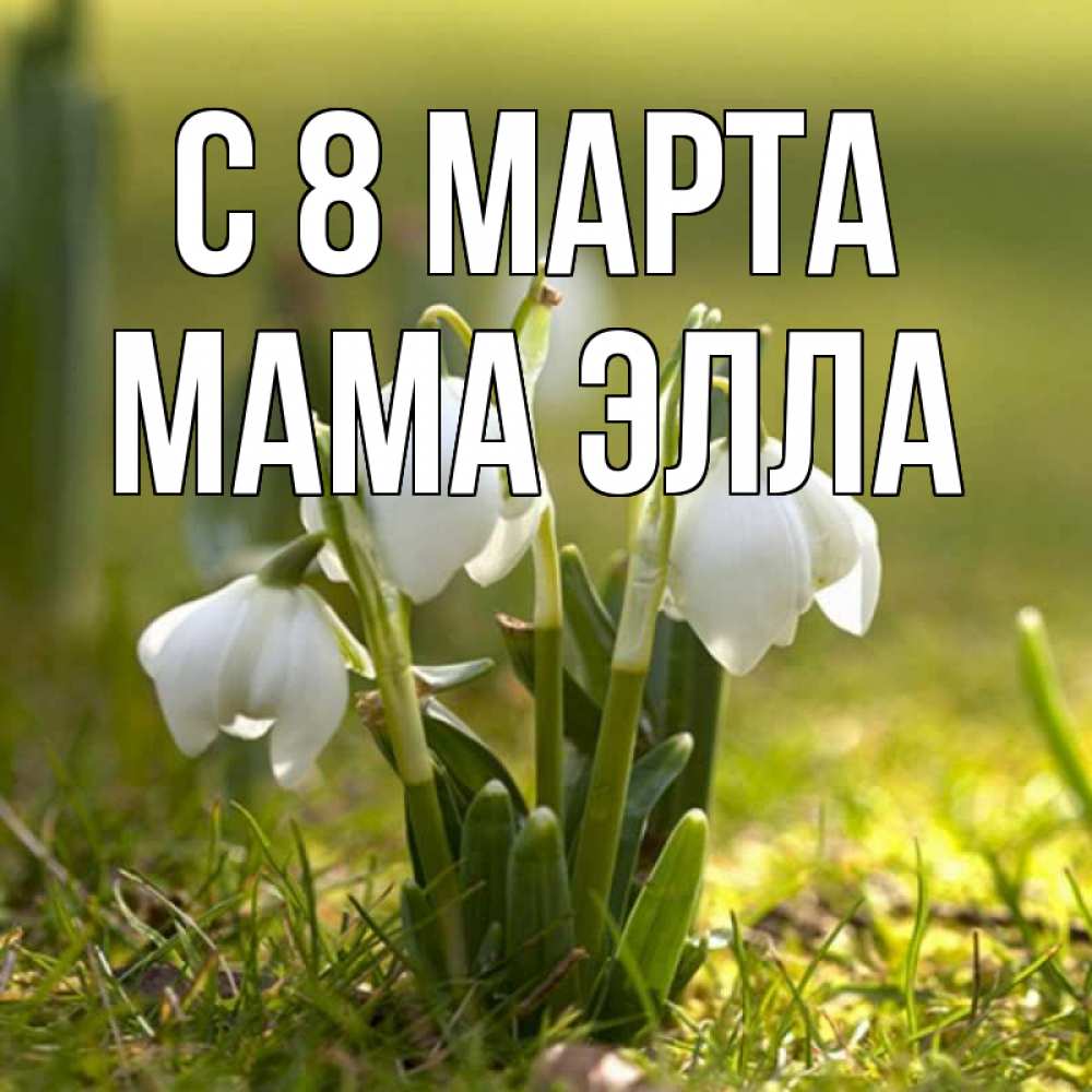 Открытка на каждый день с именем, Мама-Элла С 8 МАРТА ранние цветы 2 Прикольная открытка с пожеланием онлайн скачать бесплатно 