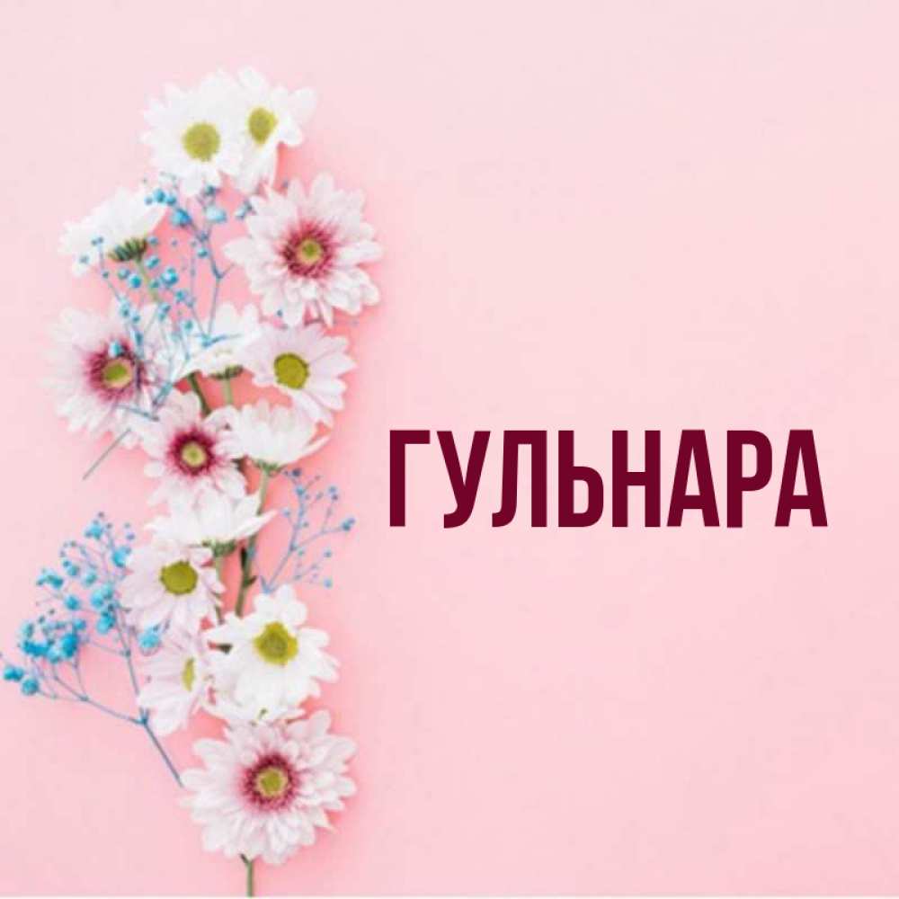 Гульнара картинки цветы