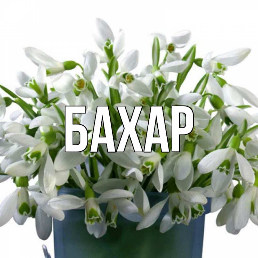 Картинка  с именем , Бахар