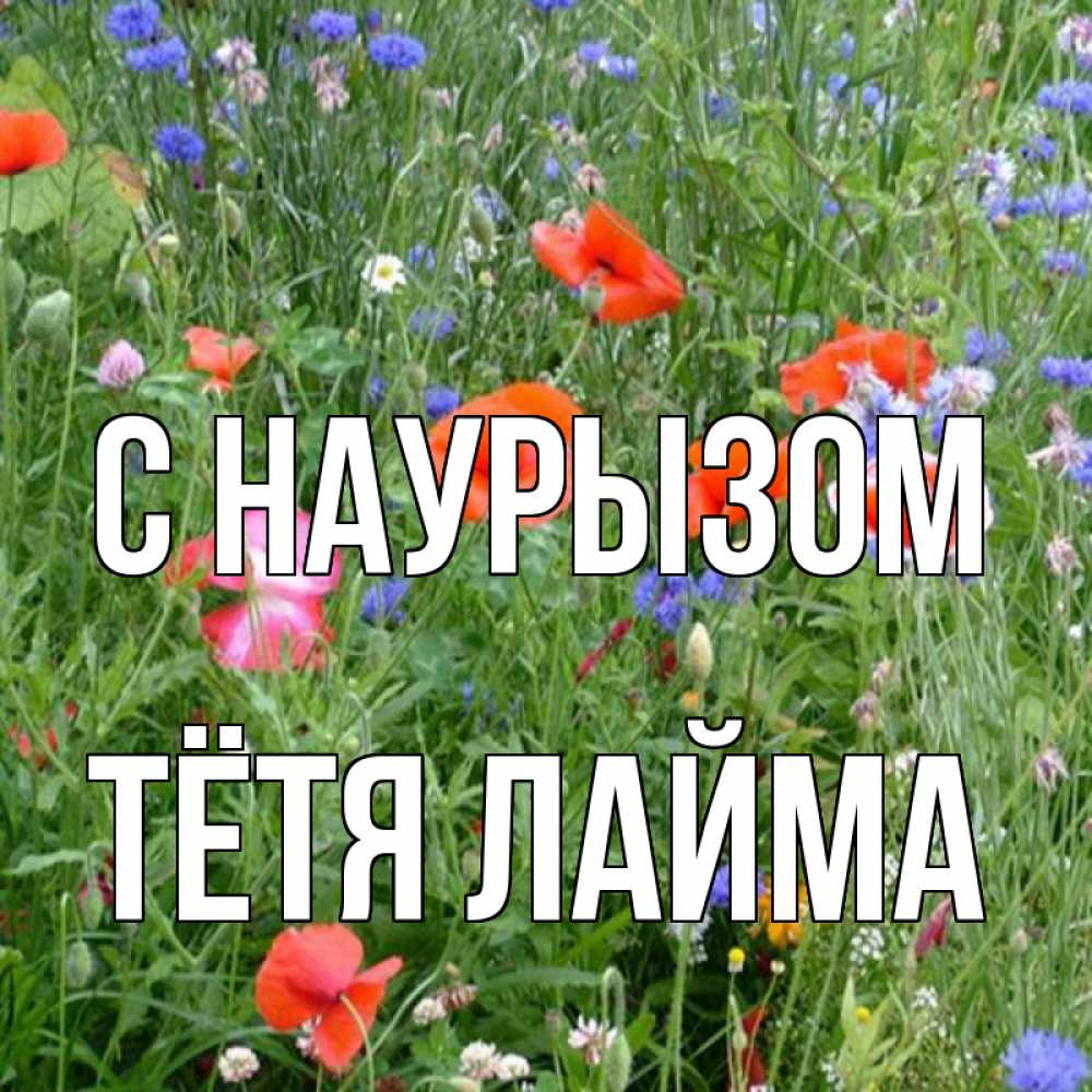 Открытка на каждый день с именем, Тётя-Лайма С наурызом праздник весны наурыз супер открытка Прикольная открытка с пожеланием онлайн скачать бесплатно 
