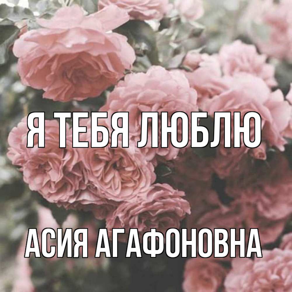 Открытка с именем, Асия Агафоновна, Я тебя люблю
