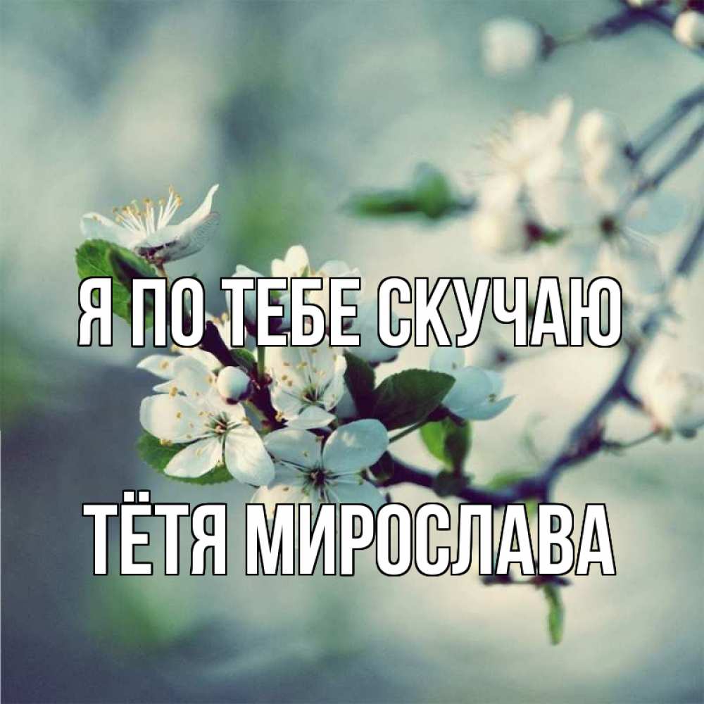 Открытка на каждый день с именем, Тётя-Мирослава Я по тебе скучаю весна Прикольная открытка с пожеланием онлайн скачать бесплатно 