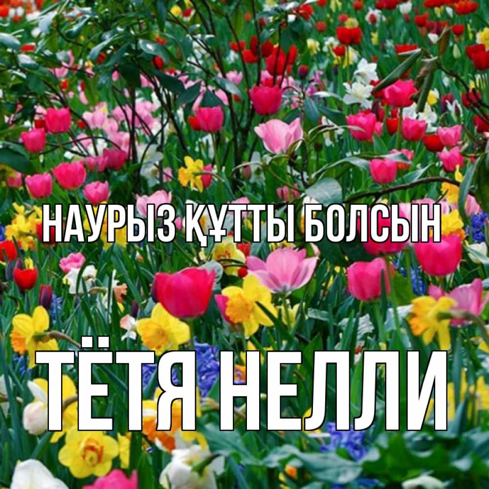 Открытка на каждый день с именем, Тётя-Нелли Наурыз құтты болсын с наурызом поздравления для женщины Прикольная открытка с пожеланием онлайн скачать бесплатно 