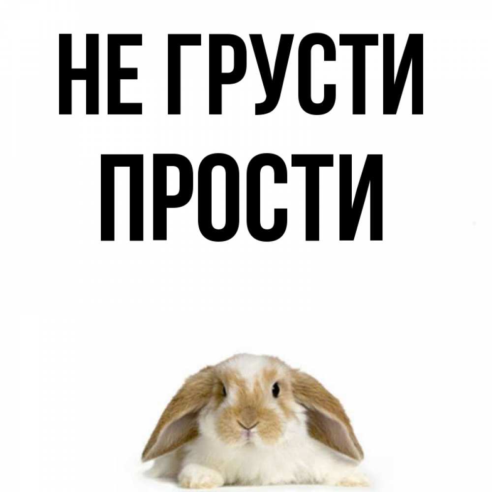 Не Грусти Пожалуйста Картинки