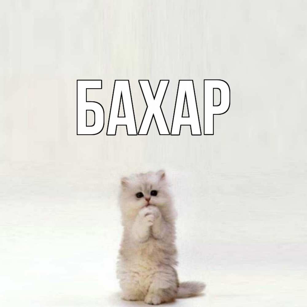 Картинка  с именем , Бахар