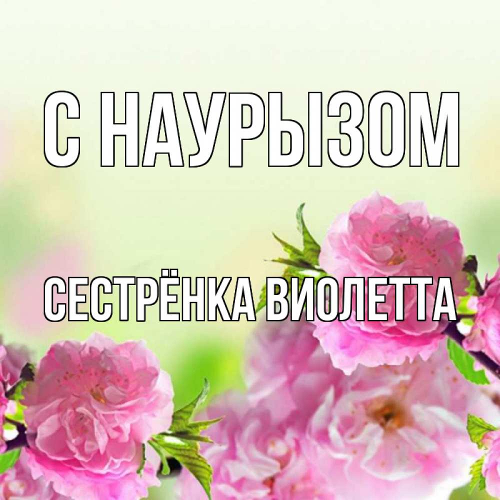 Открытка на каждый день с именем, Сестрёнка-Виолетта С наурызом цветы Прикольная открытка с пожеланием онлайн скачать бесплатно 