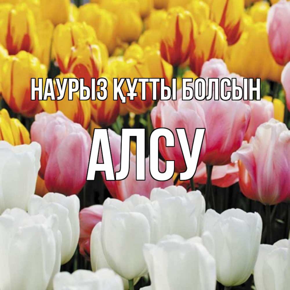 Открытка на каждый день с именем, Алсу Наурыз құтты болсын разноцветные цветы Прикольная открытка с пожеланием онлайн скачать бесплатно 