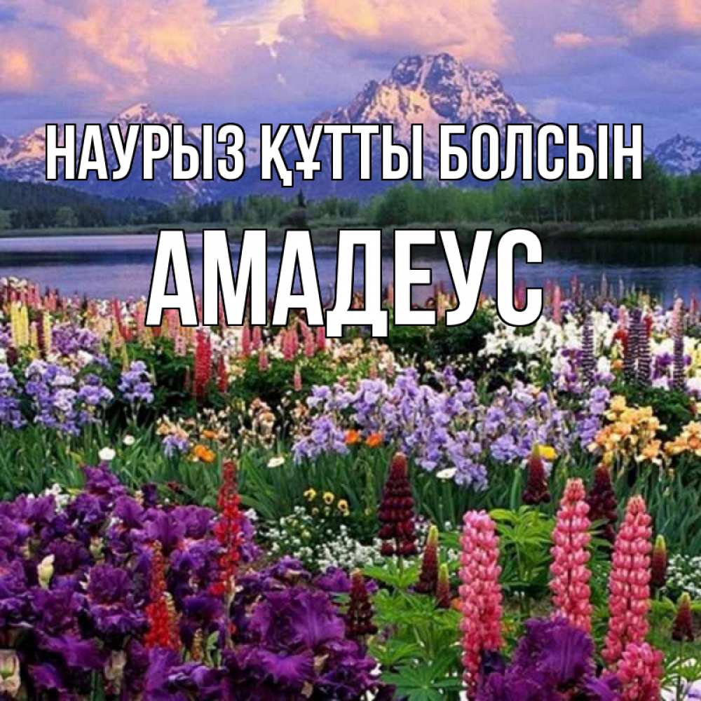 Открытка на каждый день с именем, Амадеус Наурыз құтты болсын наурыз Прикольная открытка с пожеланием онлайн скачать бесплатно 