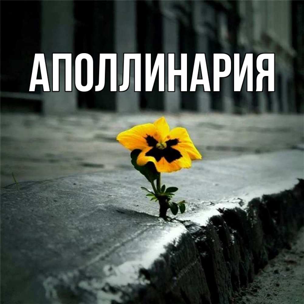 Открытка на каждый день с именем, Аполлинария Главная надеюсь будет лучше Прикольная открытка с пожеланием онлайн скачать бесплатно 