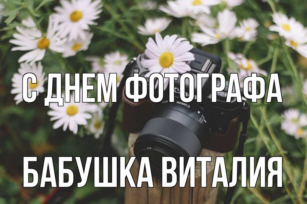 Открытка на каждый день с именем, Бабушка-Виталия С днем фотографа с днем фотографа Прикольная открытка с пожеланием онлайн скачать бесплатно 