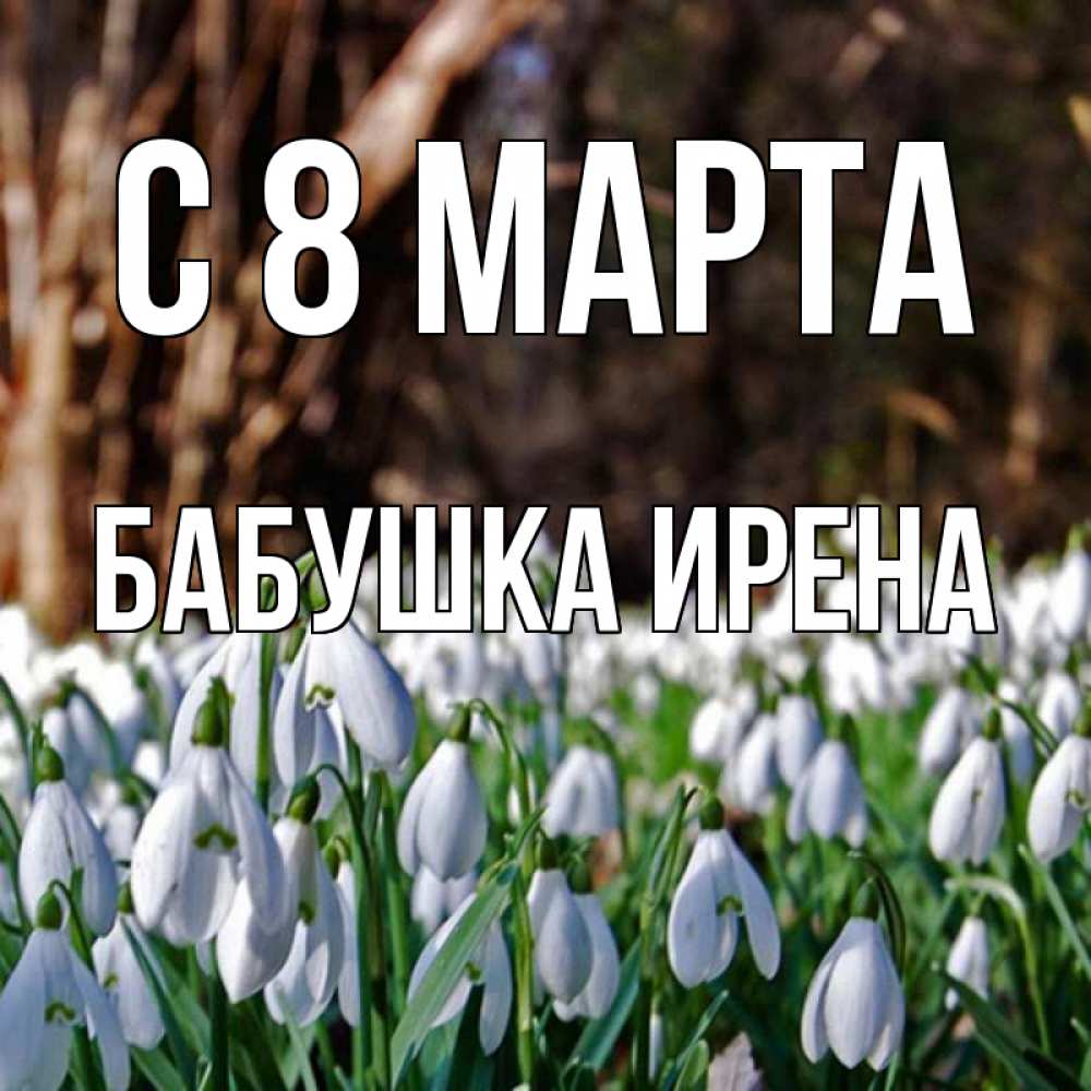 Открытка на каждый день с именем, Бабушка-Ирена С 8 МАРТА с подснежниками 1 Прикольная открытка с пожеланием онлайн скачать бесплатно 