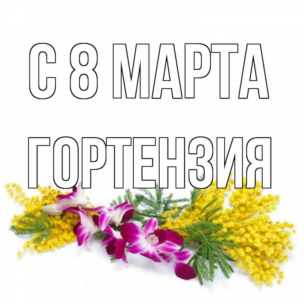 Открытка на каждый день с именем, Гортензия С 8 МАРТА открытка на международный женский день с цветами  1 Прикольная открытка с пожеланием онлайн скачать бесплатно 