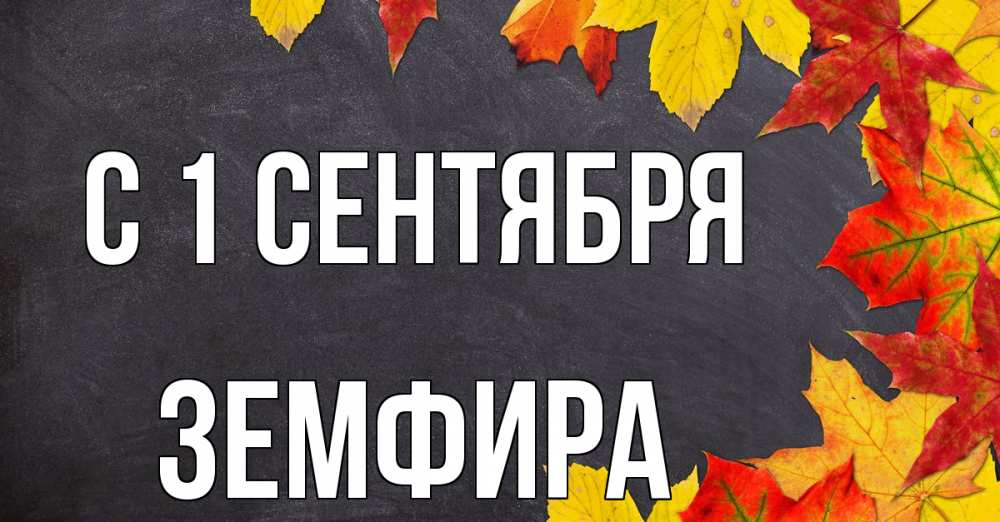 Открытка на каждый день с именем, Земфира С 1 сентября с днем знаний Прикольная открытка с пожеланием онлайн скачать бесплатно 