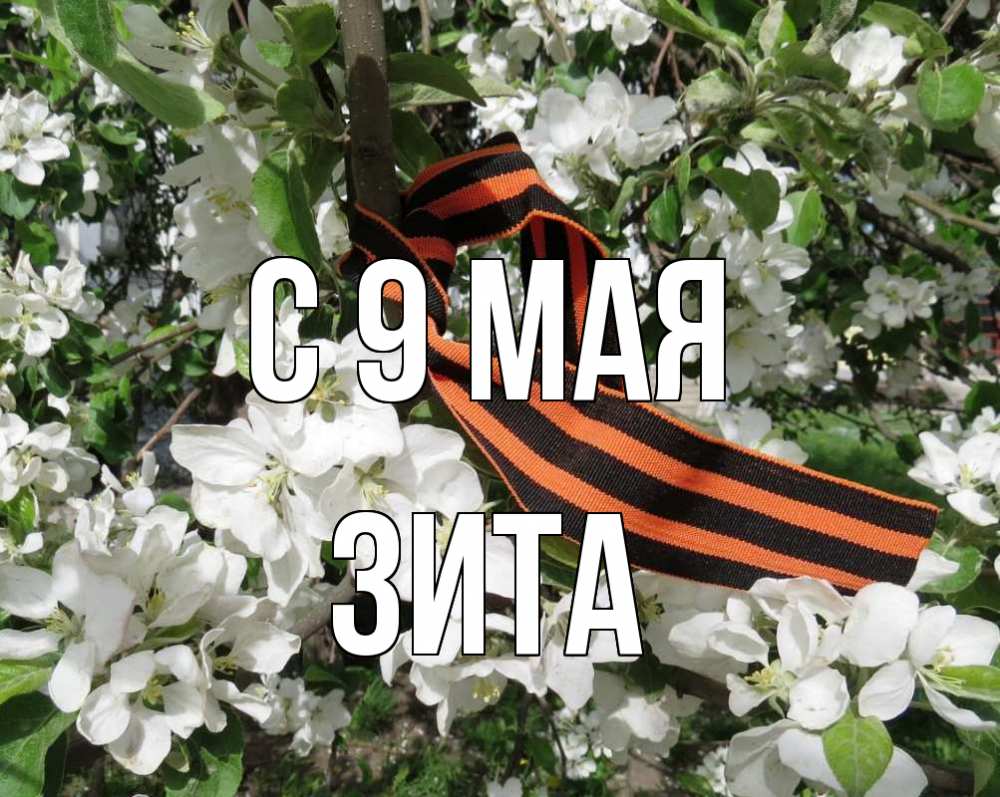 Открытка на каждый день с именем, Зита С 9 мая 9 мая Прикольная открытка с пожеланием онлайн скачать бесплатно 