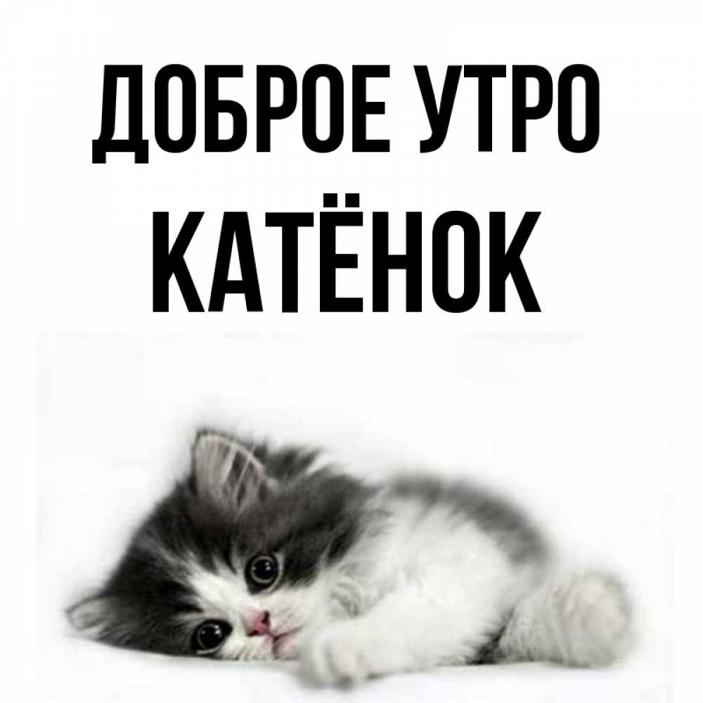 Доброе Утро Катя