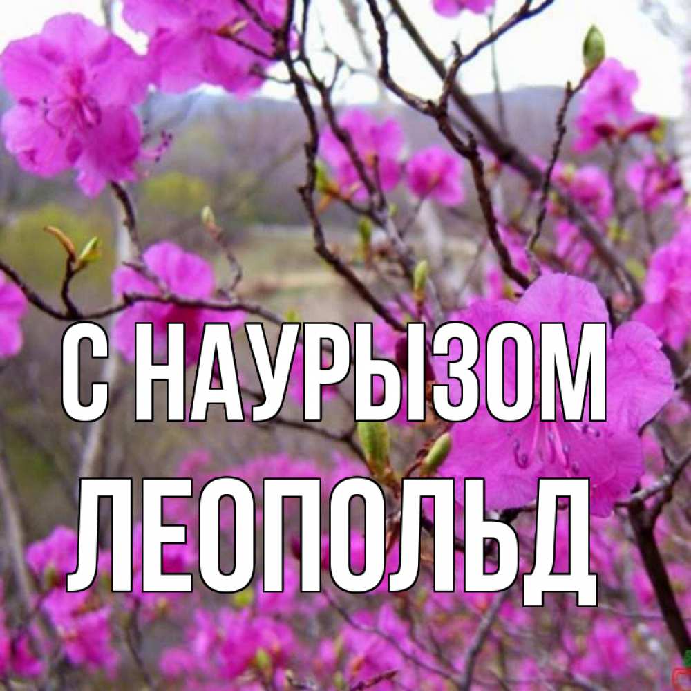 Открытка на каждый день с именем, Леопольд С наурызом праздник весны наурыз Прикольная открытка с пожеланием онлайн скачать бесплатно 