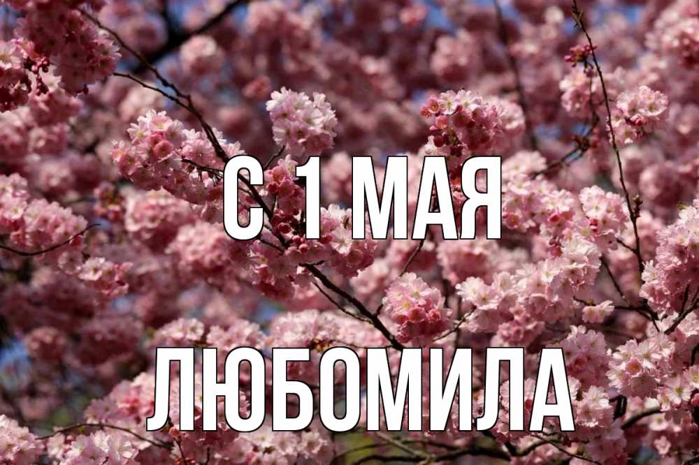 Открытка на каждый день с именем, Любомила С 1 мая С 1 мая Прикольная открытка с пожеланием онлайн скачать бесплатно 