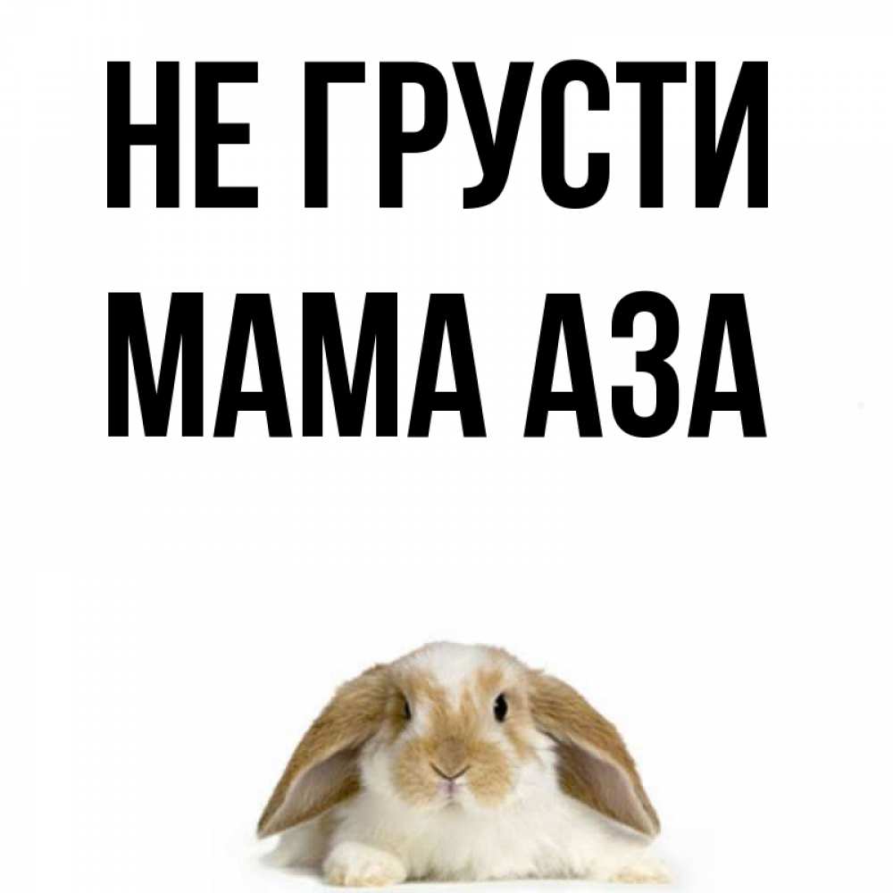 Открытка на каждый день с именем, Мама-Аза Не грусти коричнево белый заяц с большими ушками Прикольная открытка с пожеланием онлайн скачать бесплатно 
