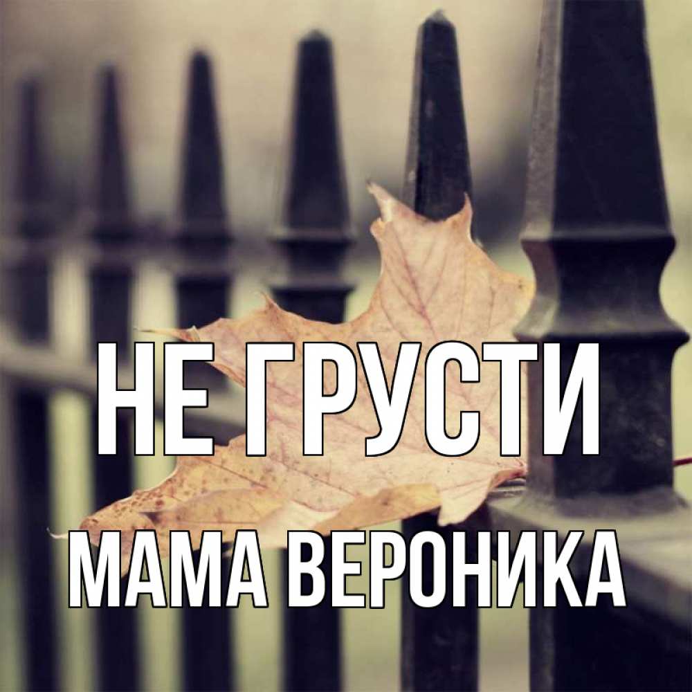 Открытка на каждый день с именем, Мама-Вероника Не грусти лист клена Прикольная открытка с пожеланием онлайн скачать бесплатно 