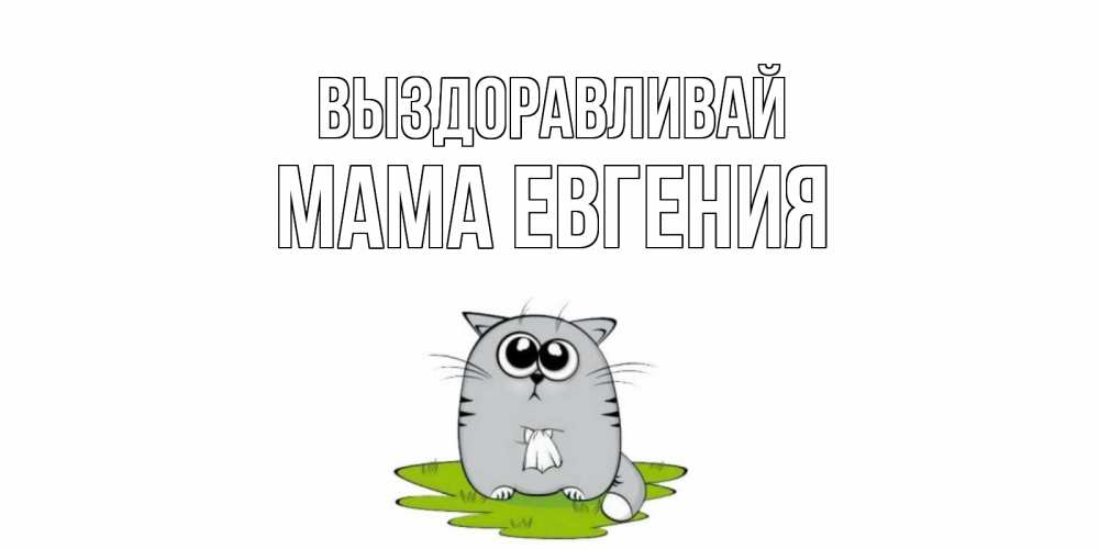 Открытка на каждый день с именем, Мама-Евгения Выздоравливай кот и открытки про выздоровление Прикольная открытка с пожеланием онлайн скачать бесплатно 